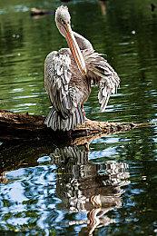 网飞当前正在开发80多款游戏 目标每月发布一款